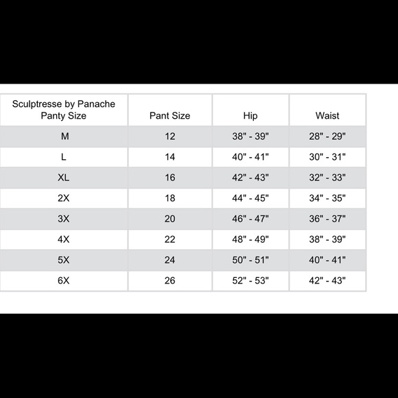 Sculptresse by Panache 9502 PLUS Sasha Brief NWT - Picture 3 of 3